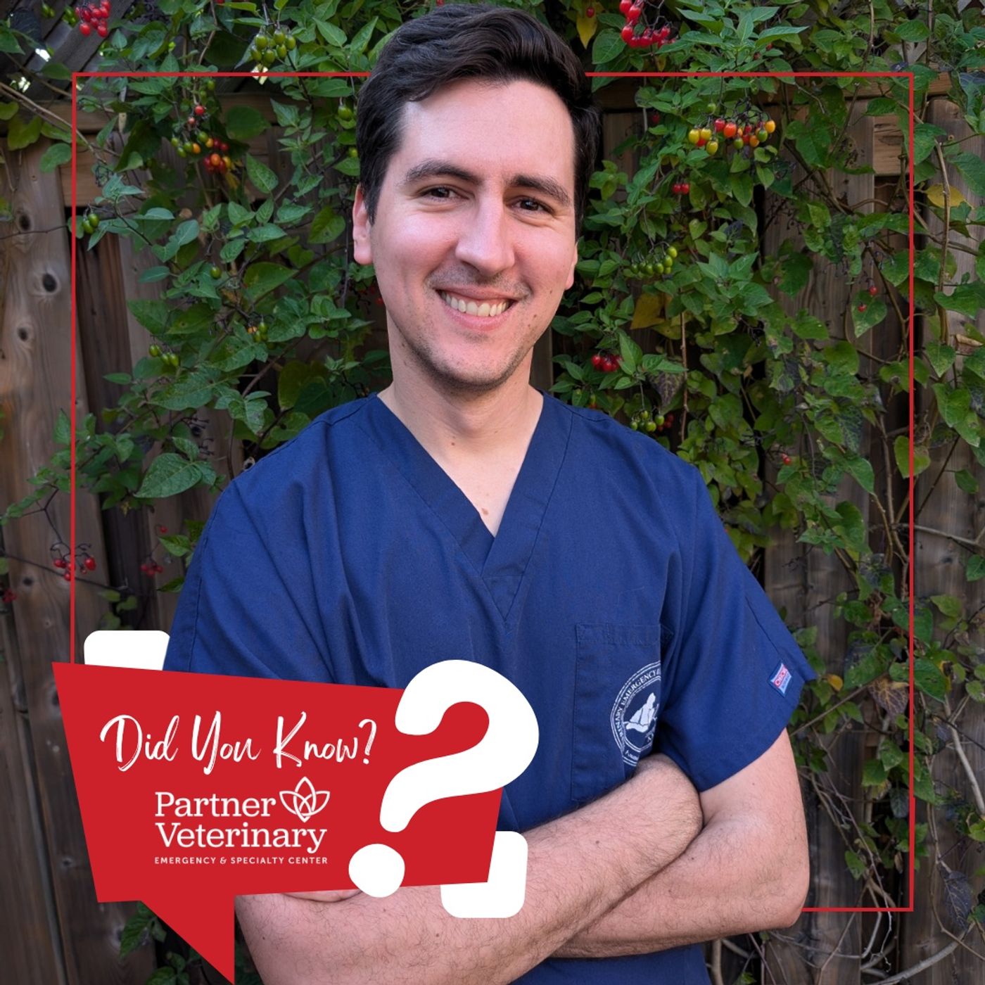 Your Pet Could Save a Life: Blood Donor Programs for Dogs and Cats with Dr. Pierre Charlebois, DACVECC episode artwork