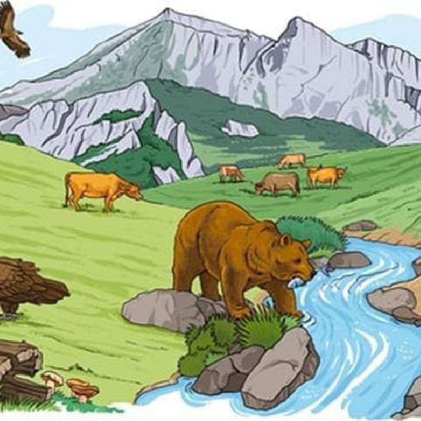 Ecosistema Terrestre episode artwork