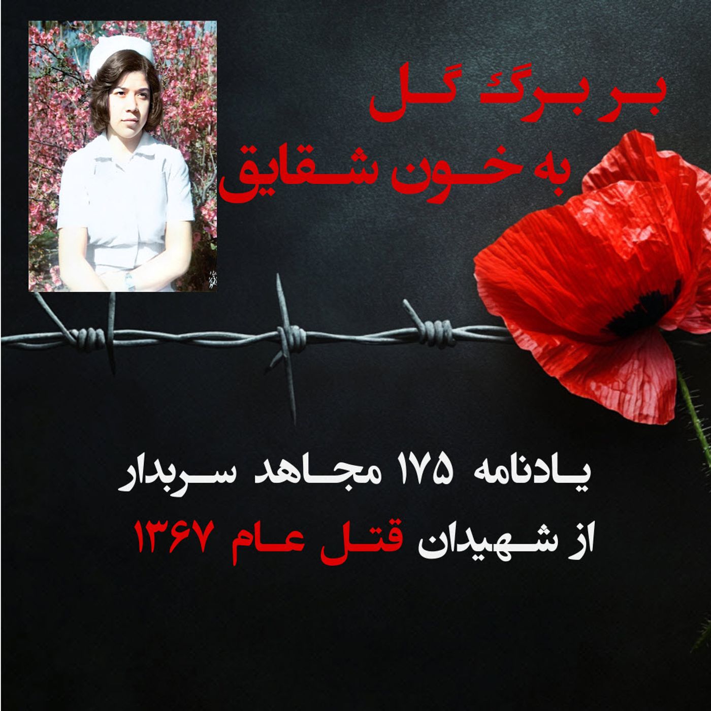 بربرگ گل به خون شقایق- شکر محمدزاده