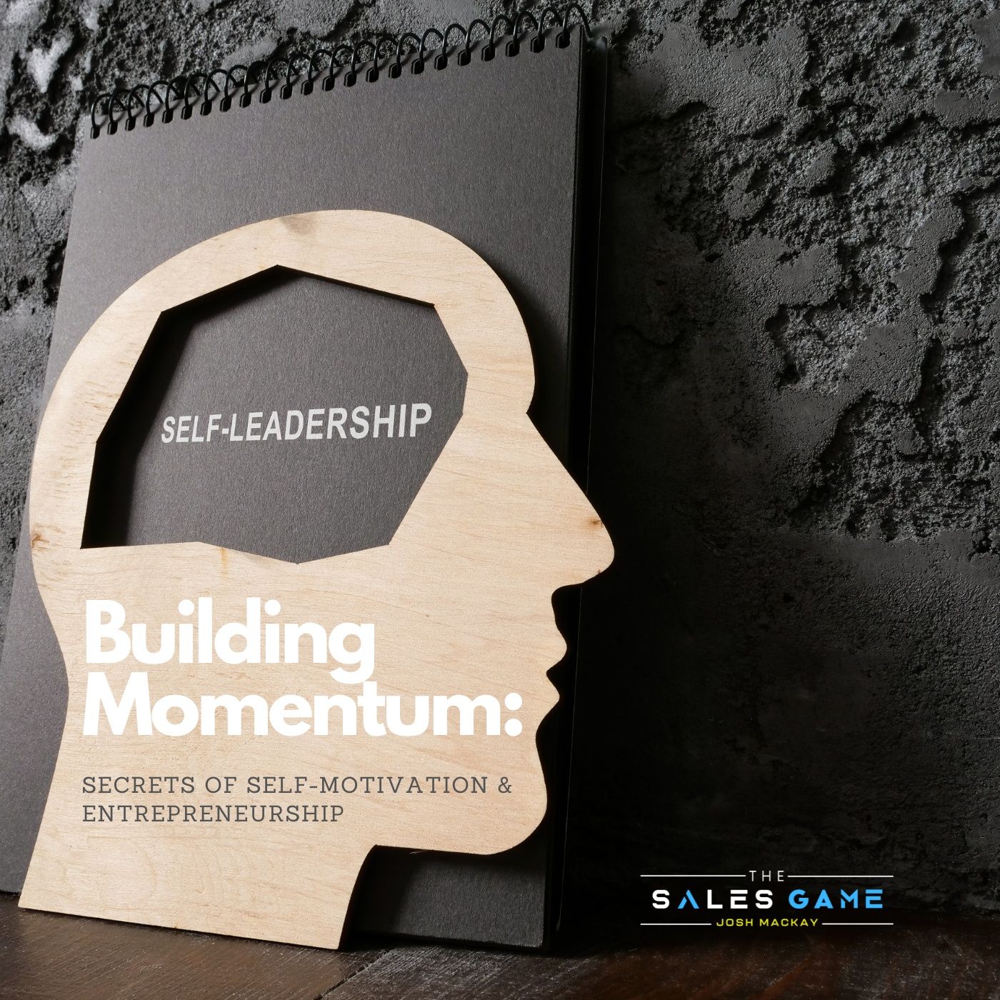 Day 6: Building Momentum -  Secrets of Self-Motivation & Entrepreneurship episode artwork