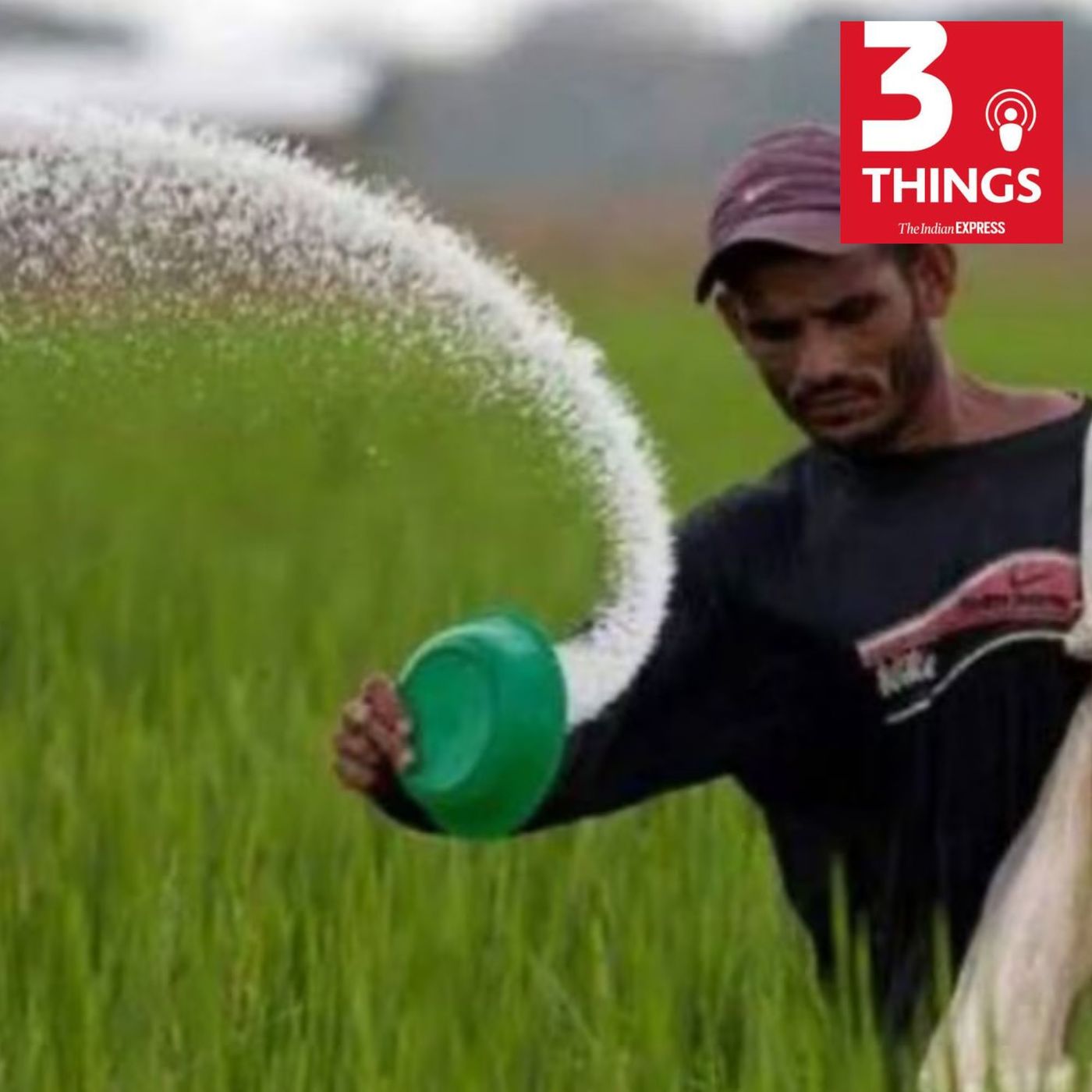 Fertiliser shortage, Mumbai’s newest flyover, and the TMC crisis