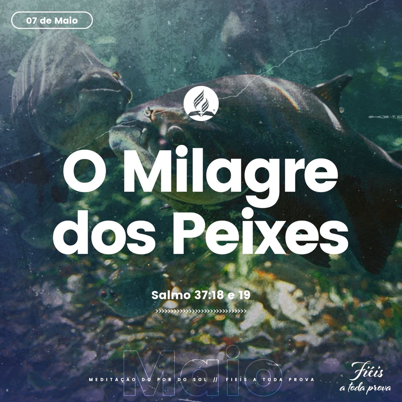 Meditações Para o Por Do Sol - 2021