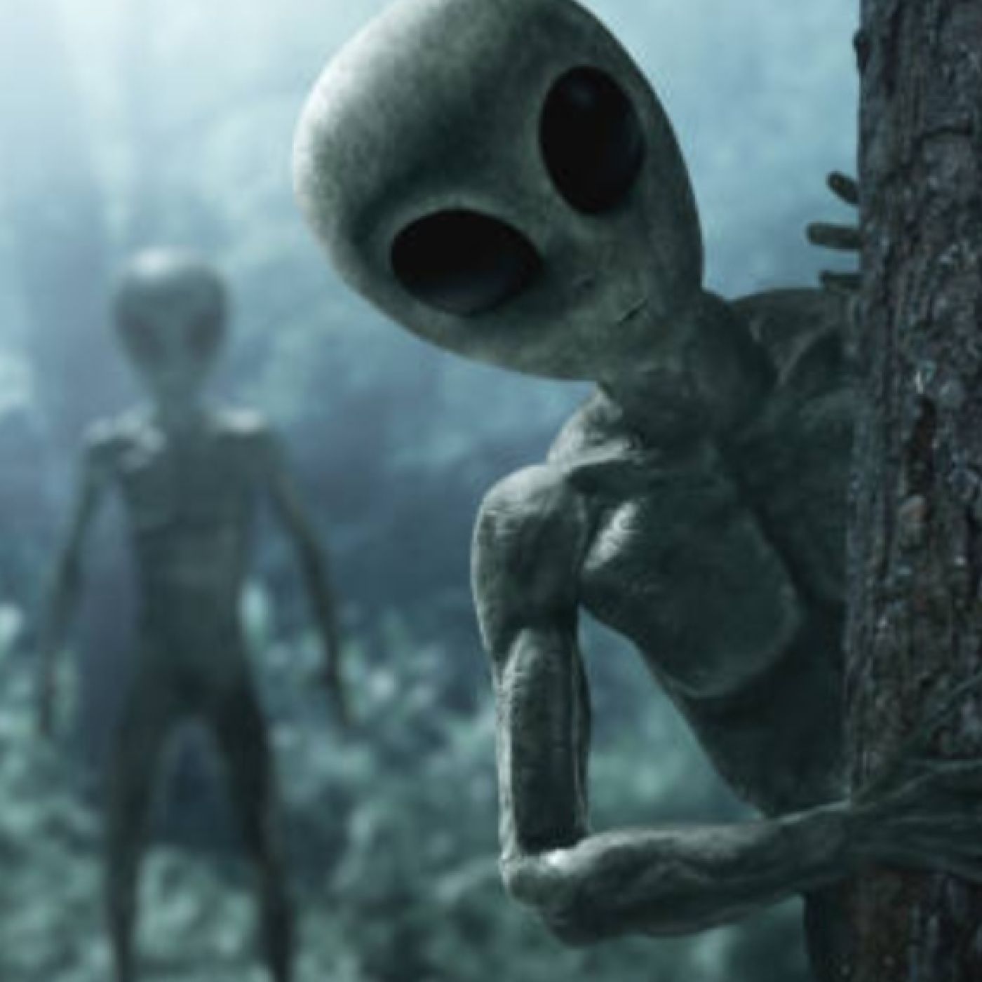 Voces del Misterio