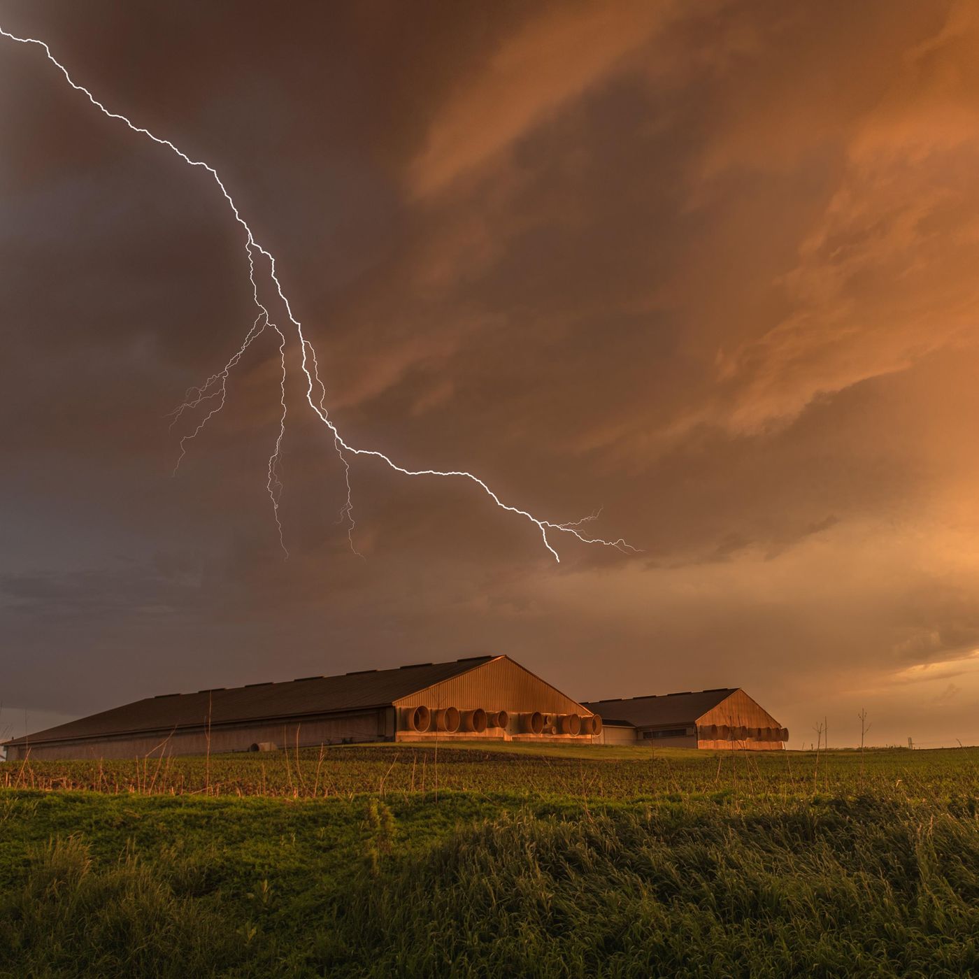 Sleep Sounds by Tmsoft