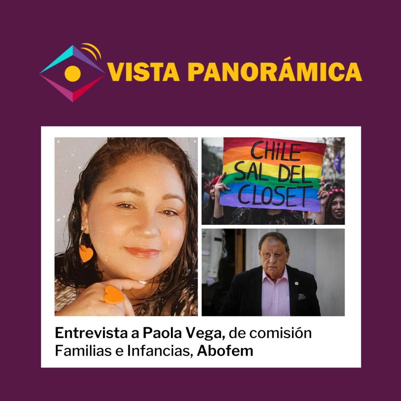 #20. Pensión alimenticia, tragedia en cárcel de San Miguel y matrimonio igualitario episode artwork