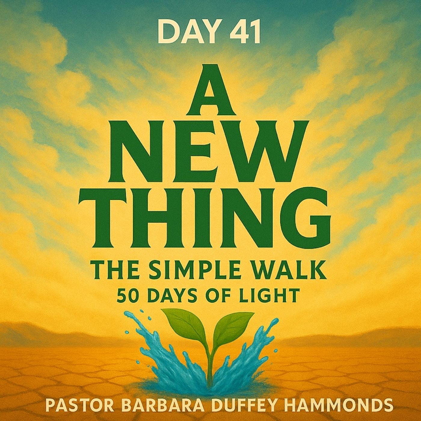Day 41 – A New Thing