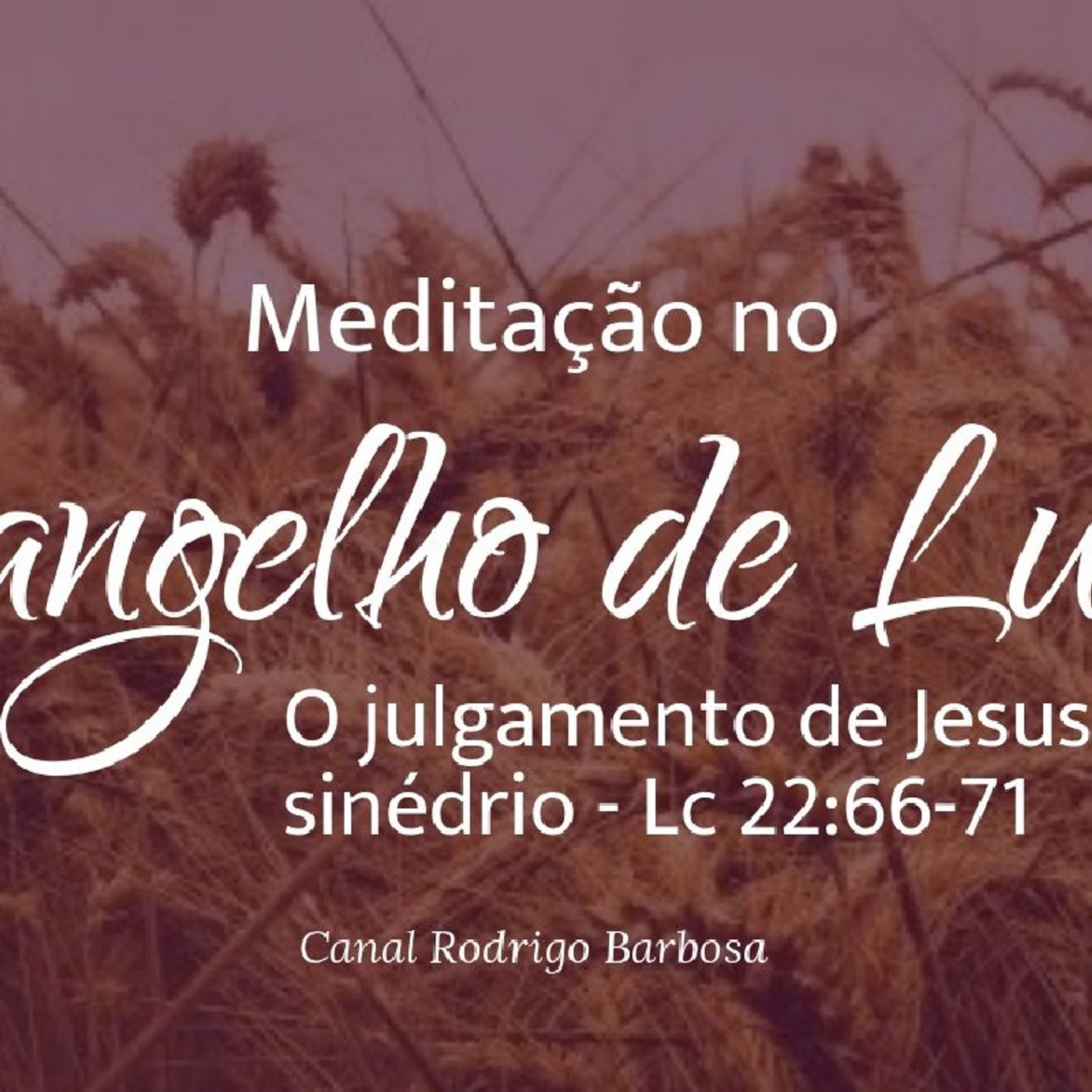 Rodrigo Barbosa