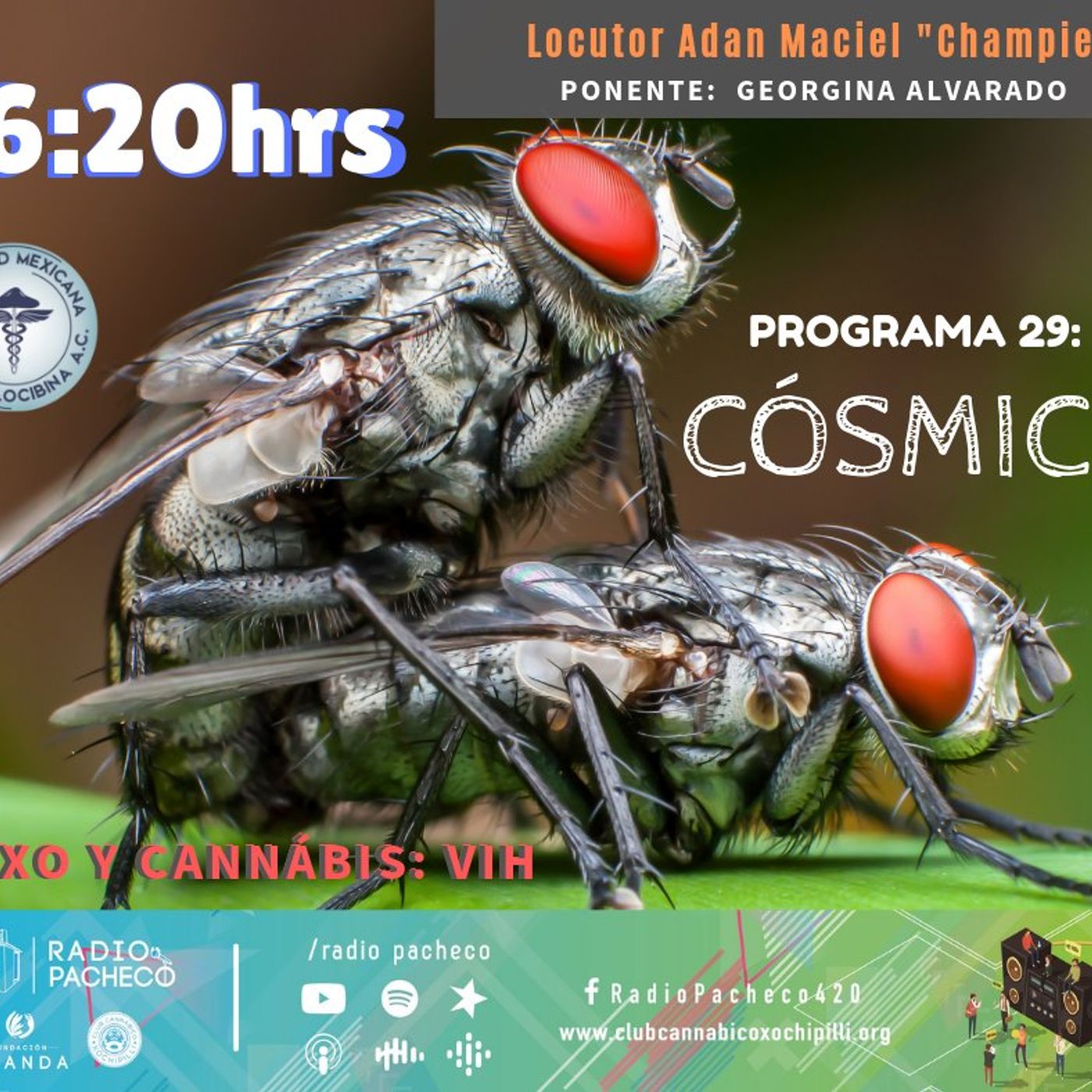 COSMICO Con Champie Maciel Prog 29