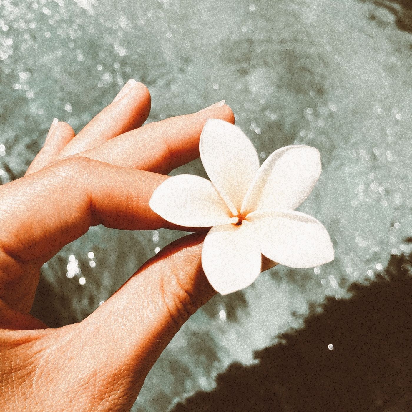 Yogalignement ☾