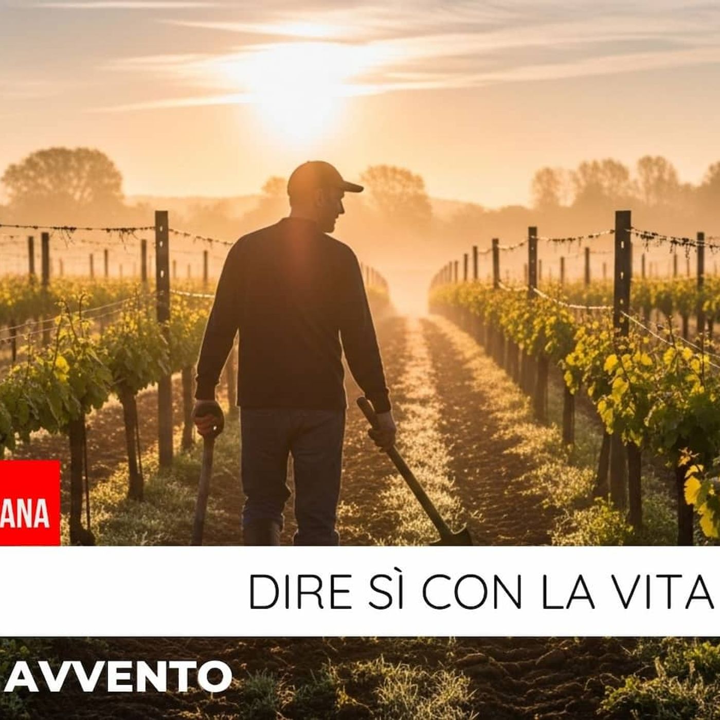 Preghiera del giorno 16 Dicembre 2025 - Dire sì con la vita