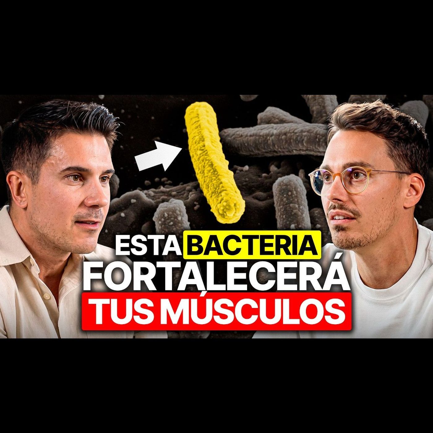 Experto en Microbiota: ¡Esta Bacteria Aumenta tu Fuerza un 30% sin Entrenar! | ¡Y Come ESTO!