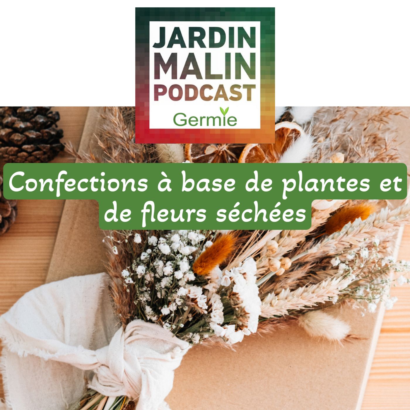 JARDIN MALIN by Germie
