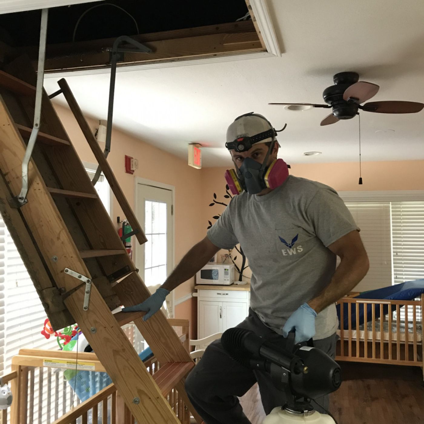 Protect Your Home with Expert Bat Removal in Houston Protect Your Home with Expert Bat Removal in Houston