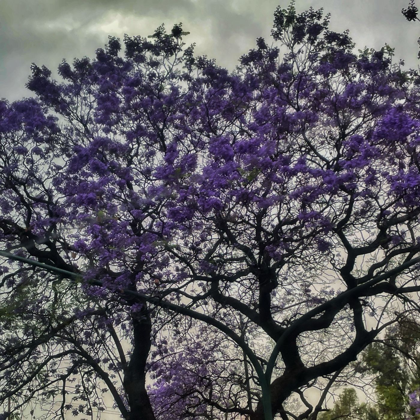 Comunicación, Política y Deporte