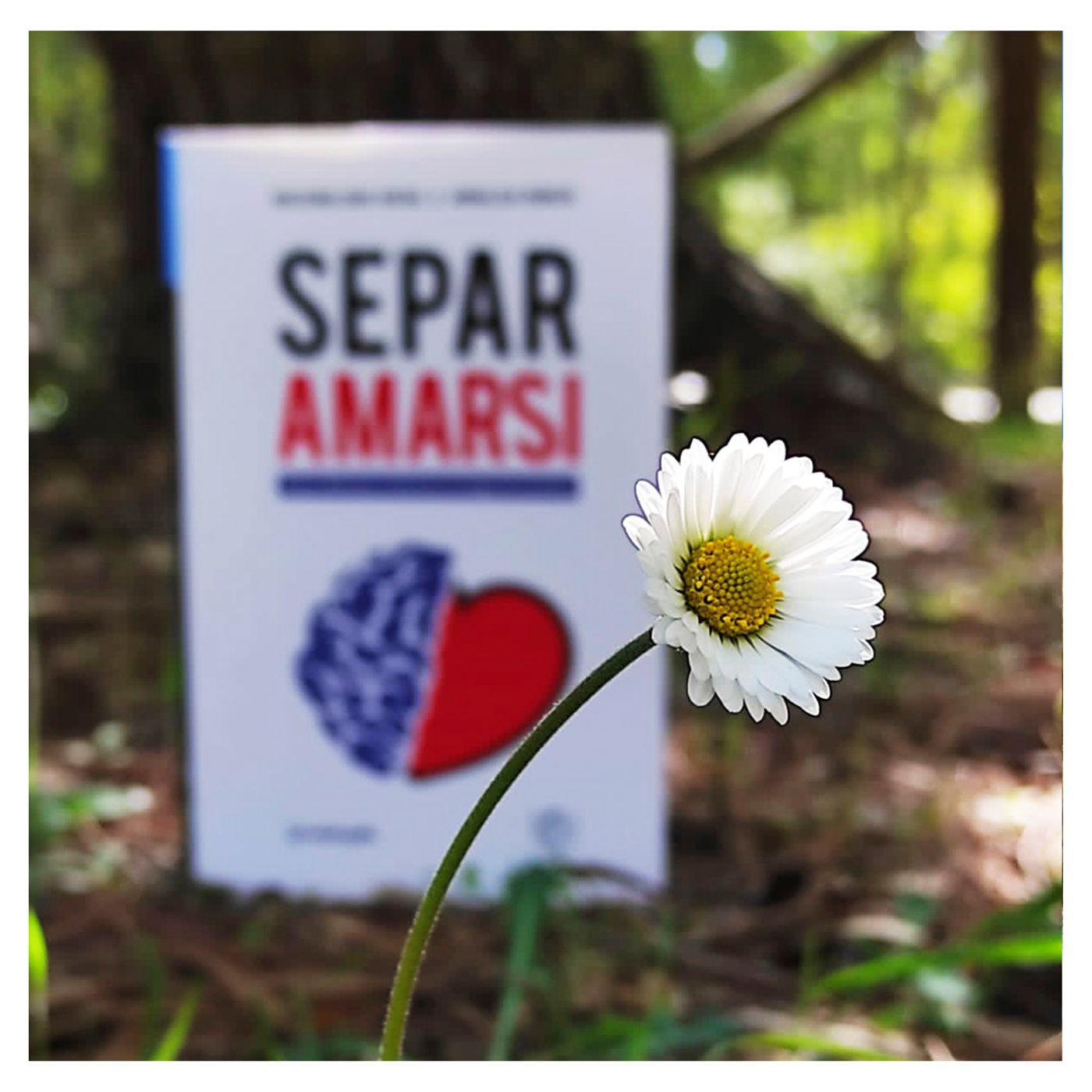 Separamarsi