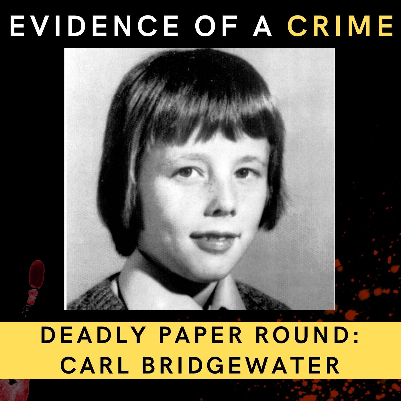 9. Deadly Paper Round: The Murder of Carl Bridgewater