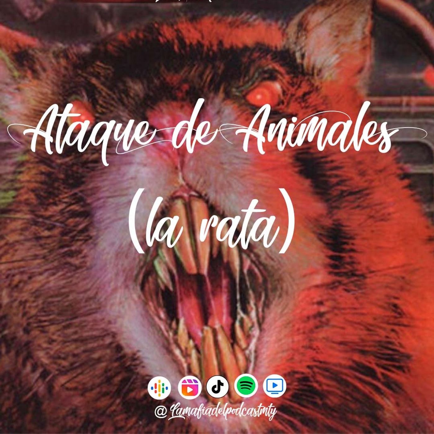 LA RAPSODIA