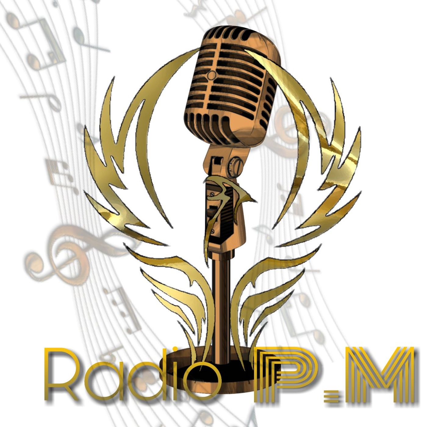 Radio PM's show