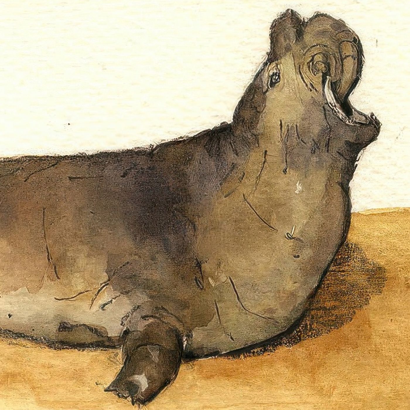 Gianluca Braschi: Ma tu la strada si che l'hai trovata