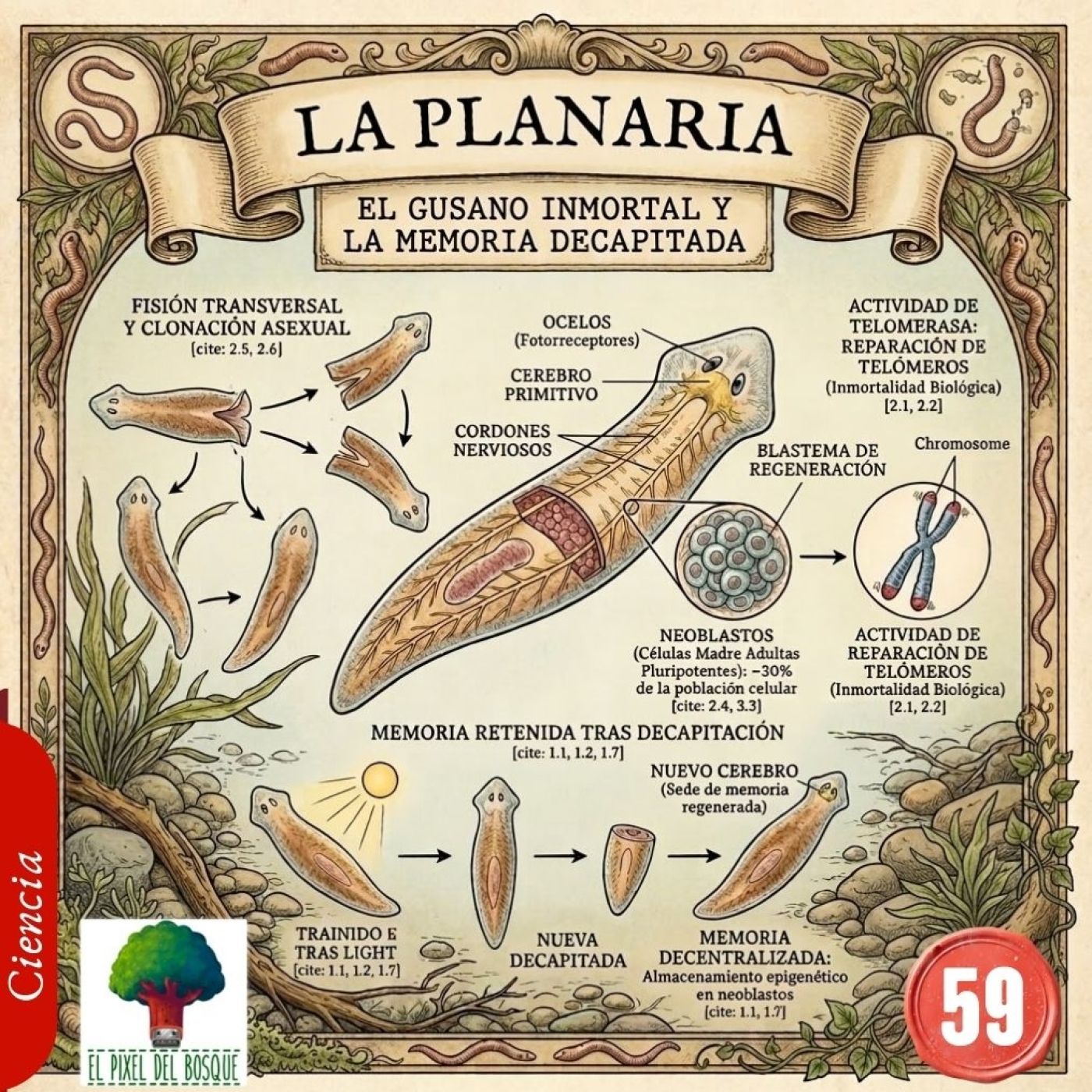 Portada de El Pixel del Bosque