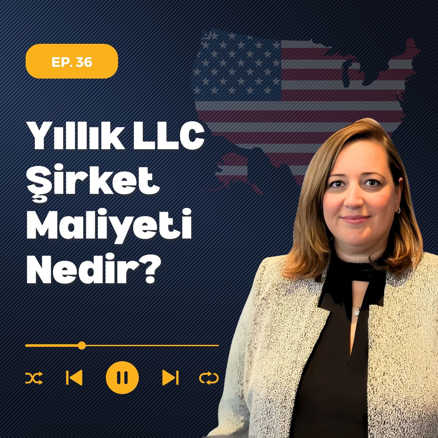 Yıllık LLC Şirket Maliyeti Nedir? episode artwork