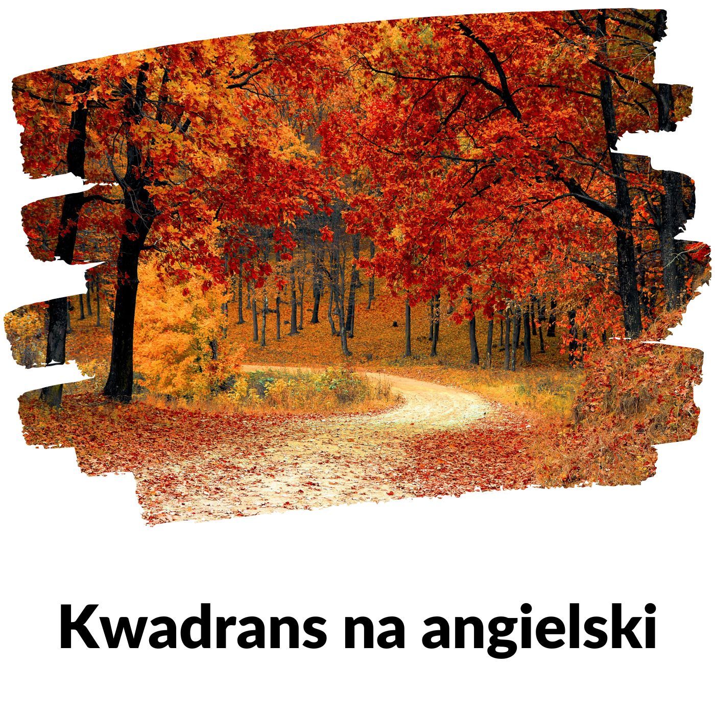 KNA: Lekcja 282 (tylko powtórka z lasu) episode artwork