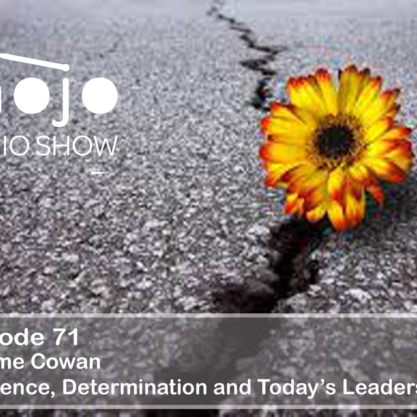 The Mojo Radio Show - Ep 71- Lessons of Today's Resilient and Robust Leader - Graeme Cowan