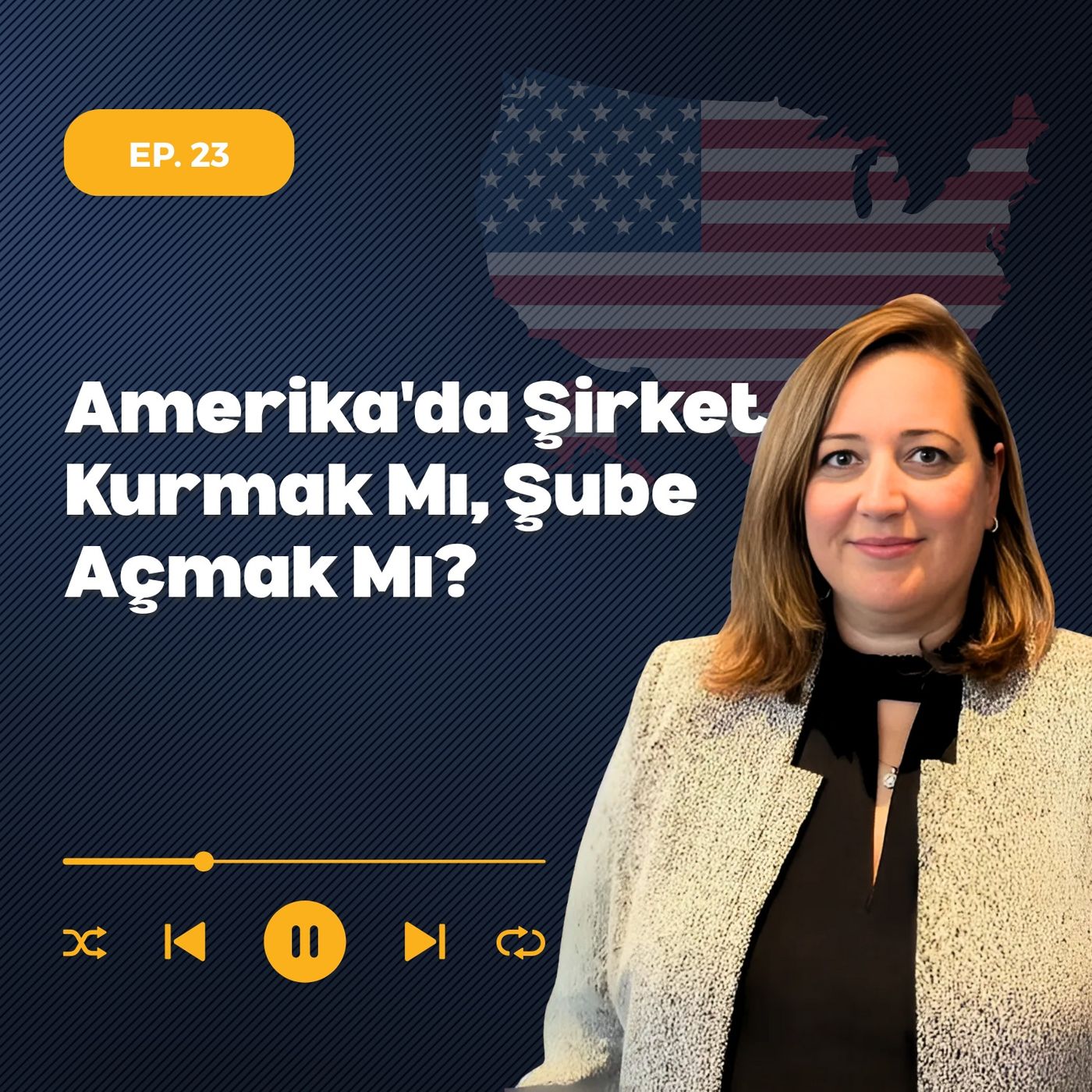 Amerika'da Şirket Kurmak Mı, Şube Açmak Mı? episode artwork