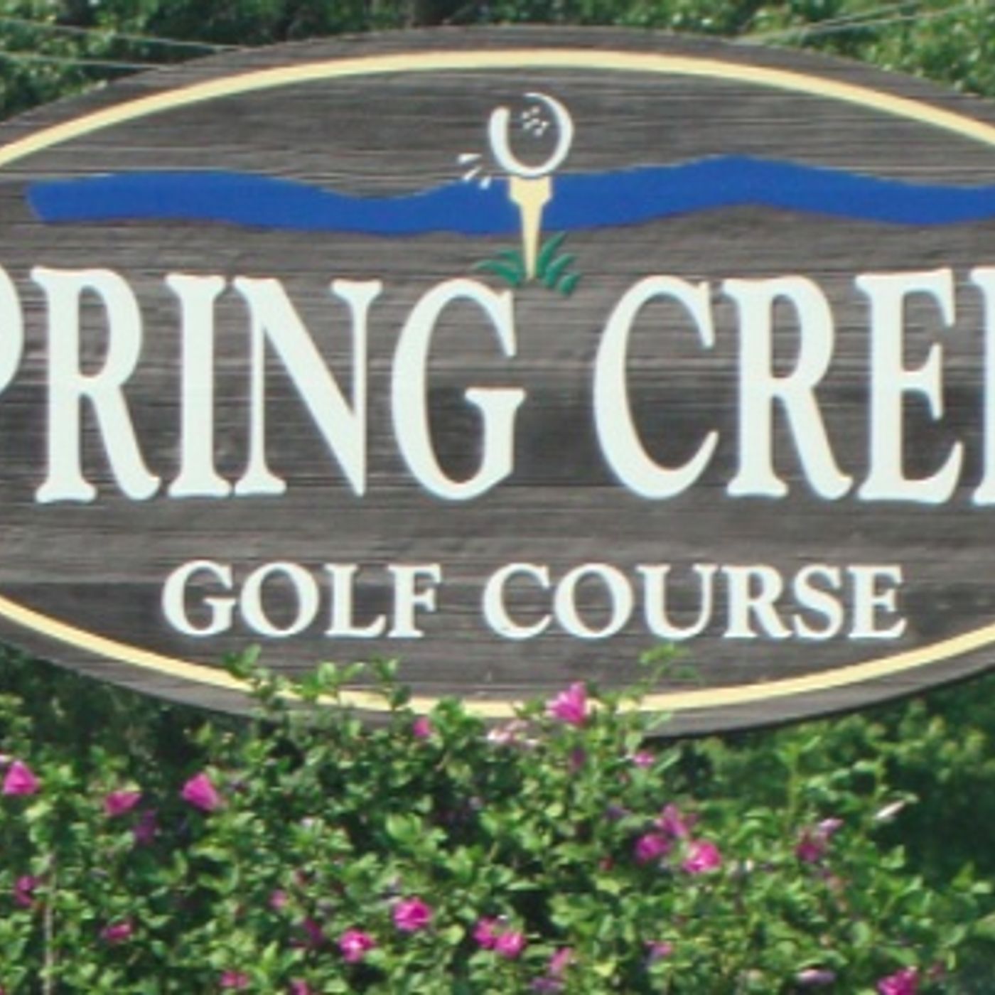 Down the Fairway: Corey VanSchaick, Gary Miller ace No. 3 hole at Spring Creek episode artwork