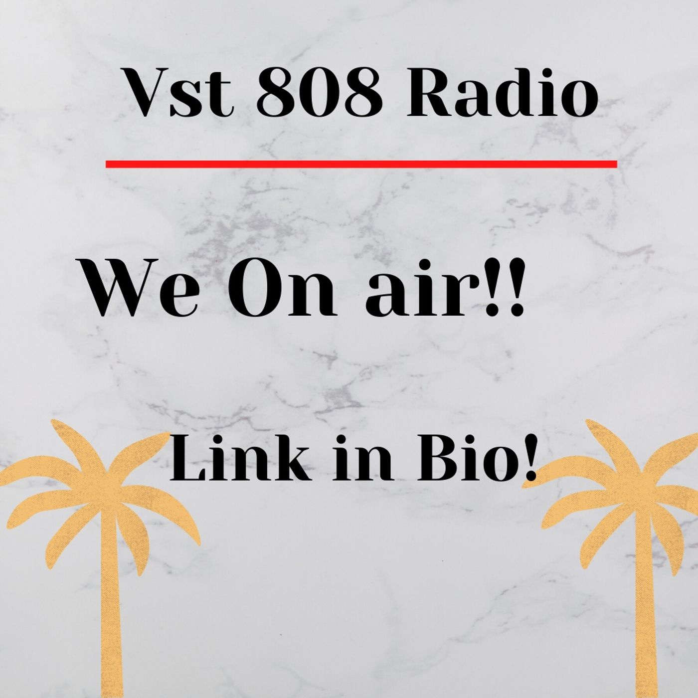 Vst 808 Radio