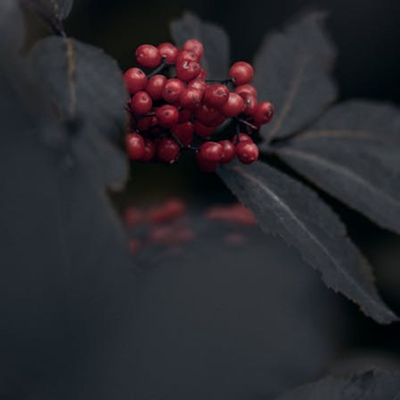 Can We Love Both God and Pleasure?