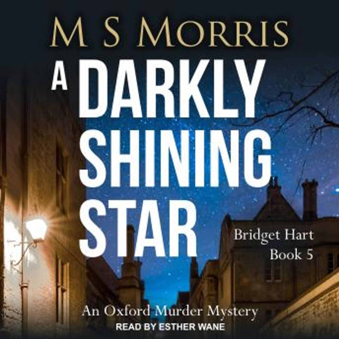 Download Best Full Audiobooks in Mystery, Thriller & Horror, Police & Detective