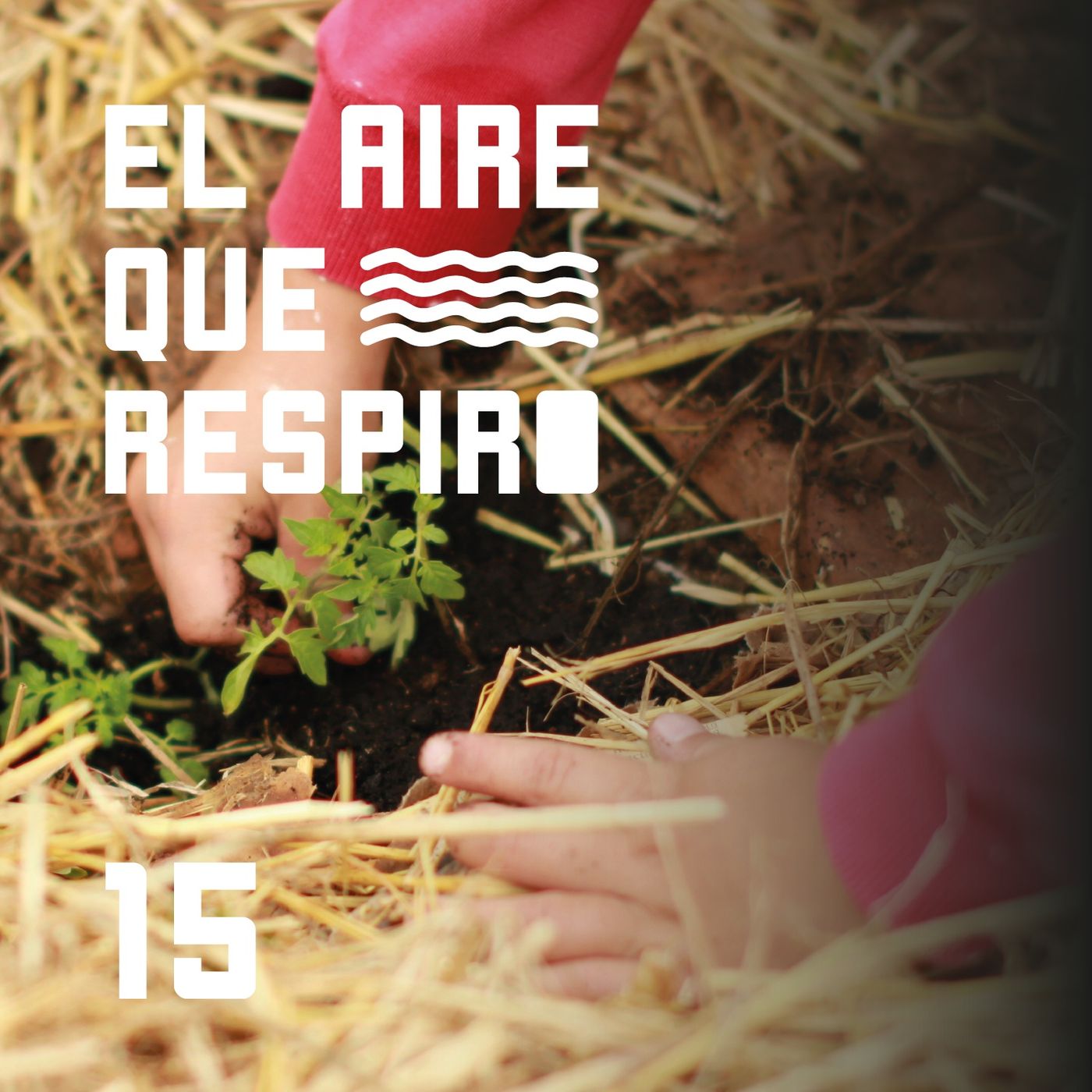 El Aire que Respiro