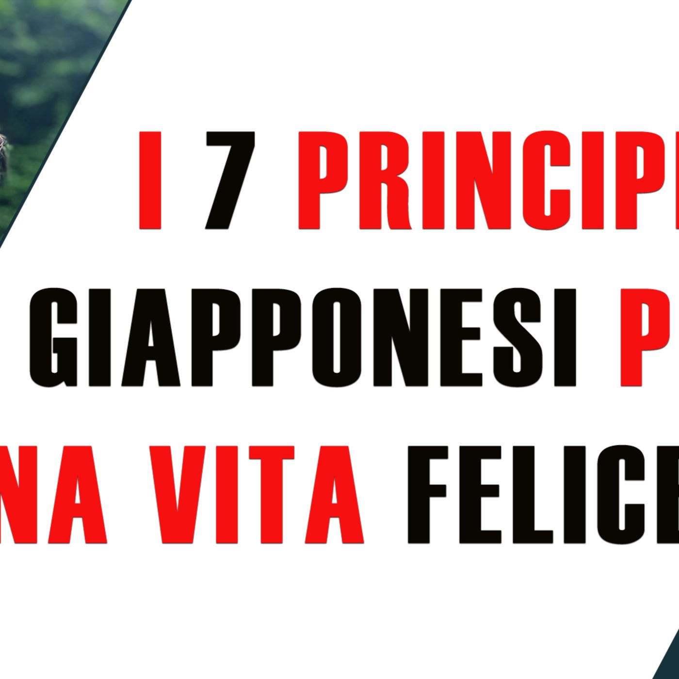 I 7 principi GIAPPONESI per una vita FELICE