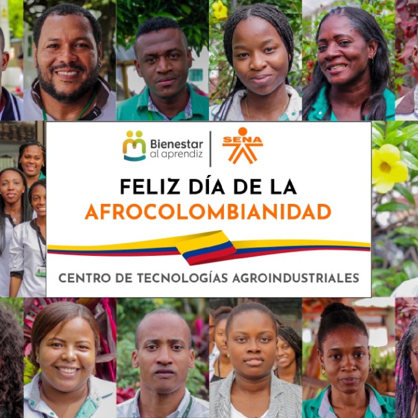 Diversidad Cultural Y Afrocolombianidad