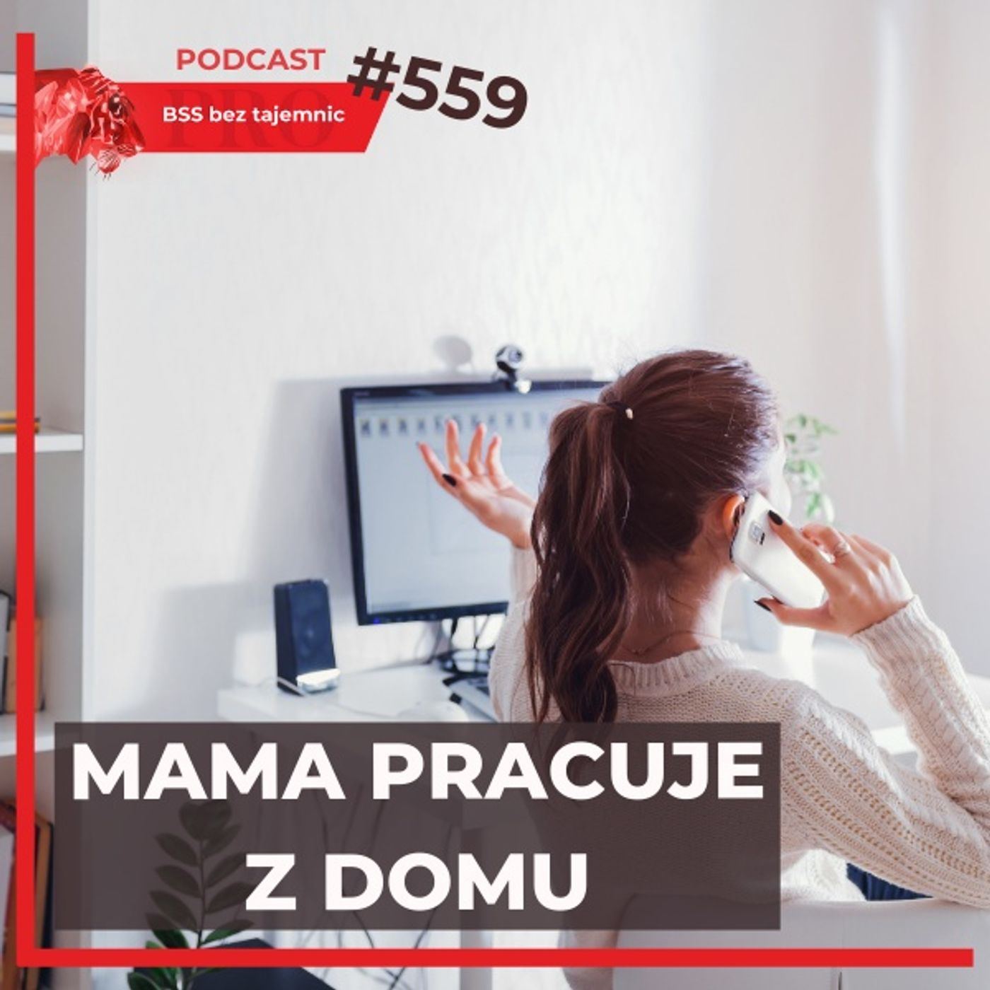 BSS bez tajemnic