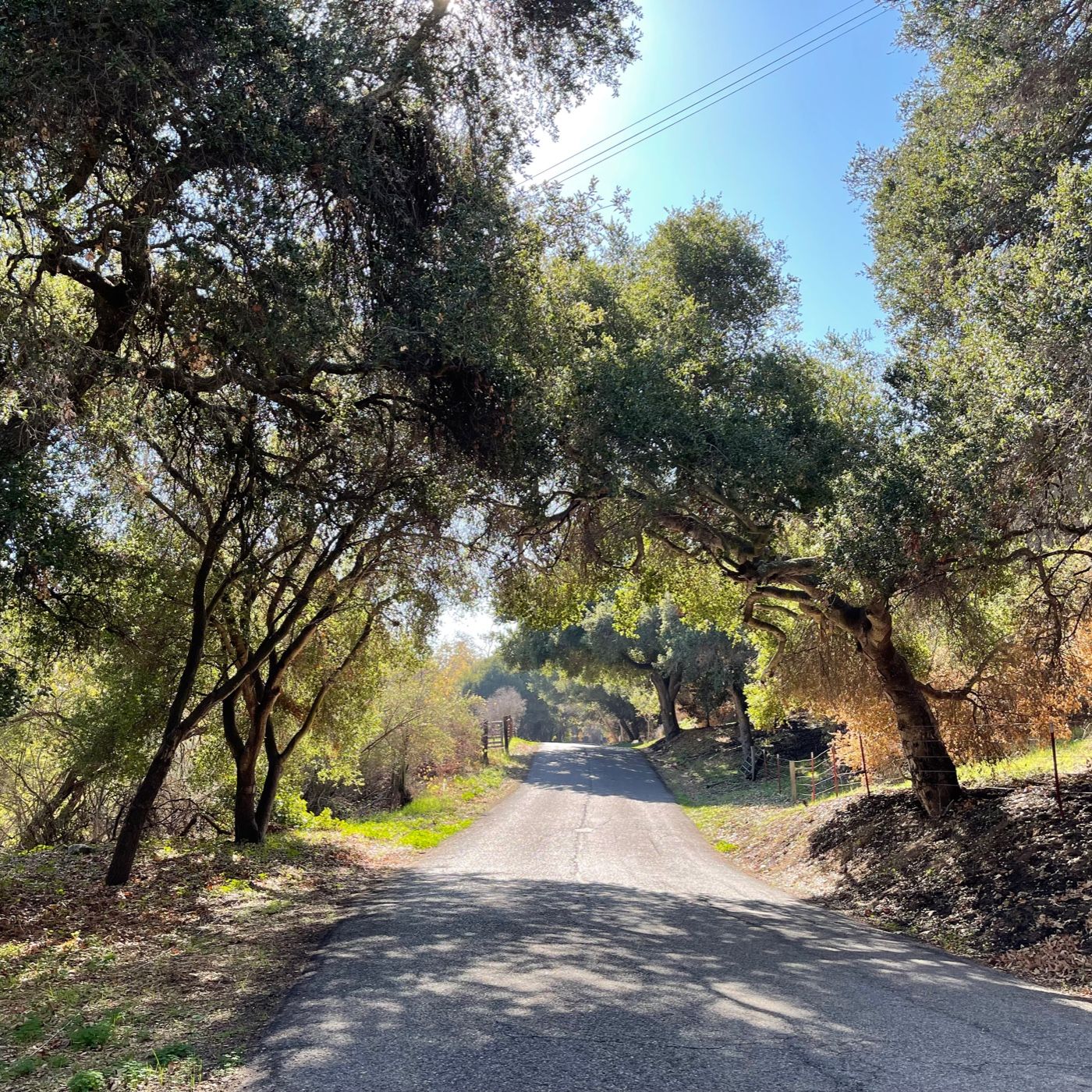 40 Days With Jesus…..