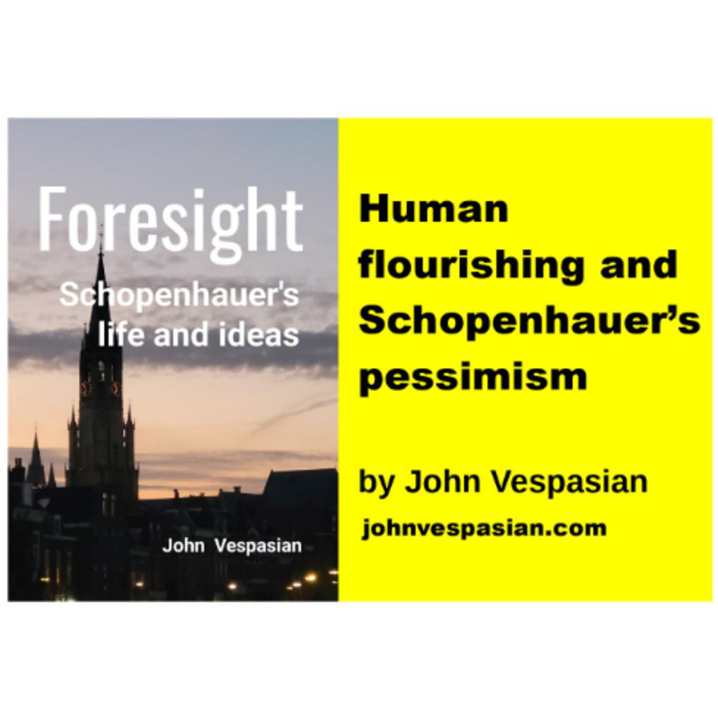 Human flourishing and Schopenhauer’s pessimism episode artwork
