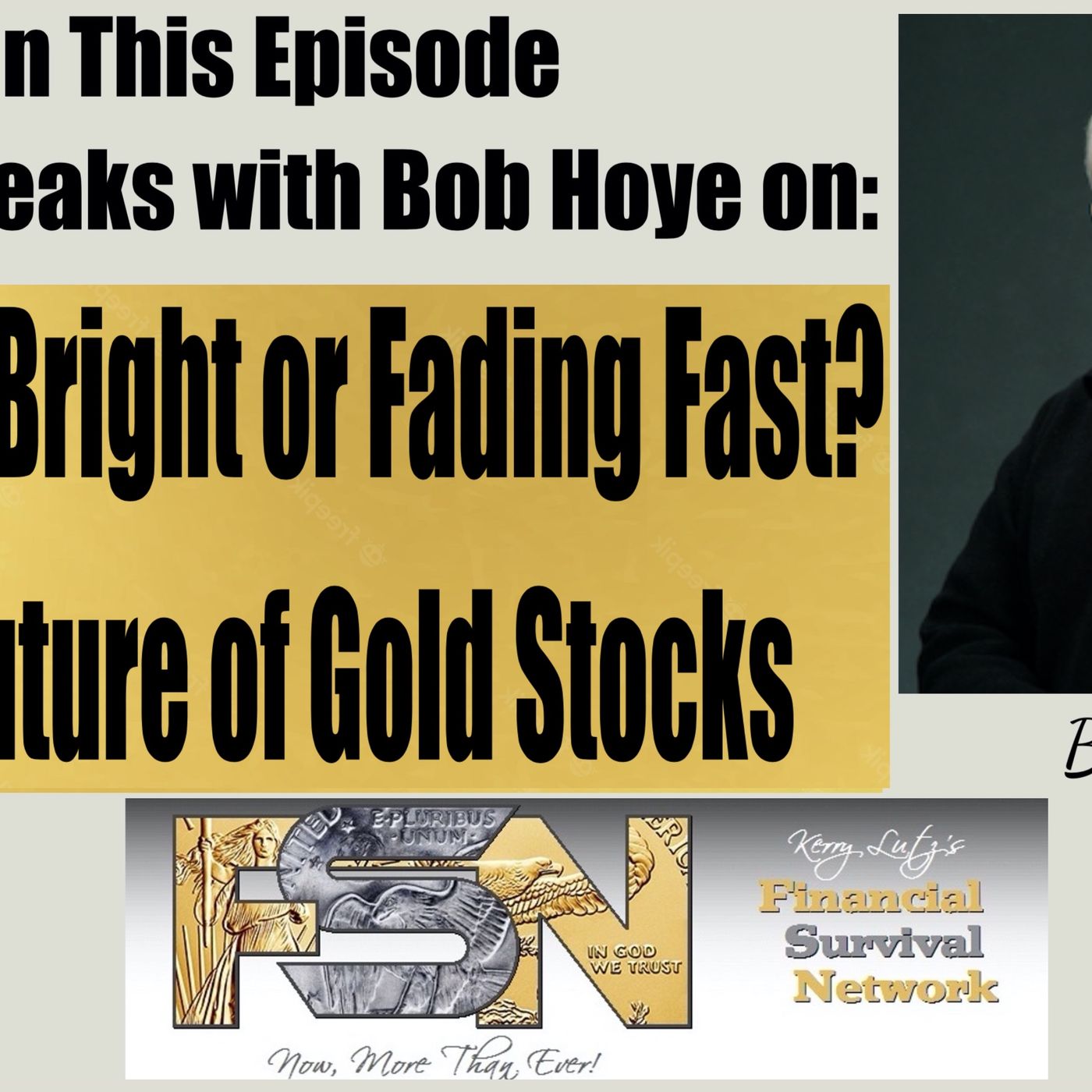 cover of episode Shining Bright or Fading Fast? The Future of Gold Stocks  - Bob Hoye #6121