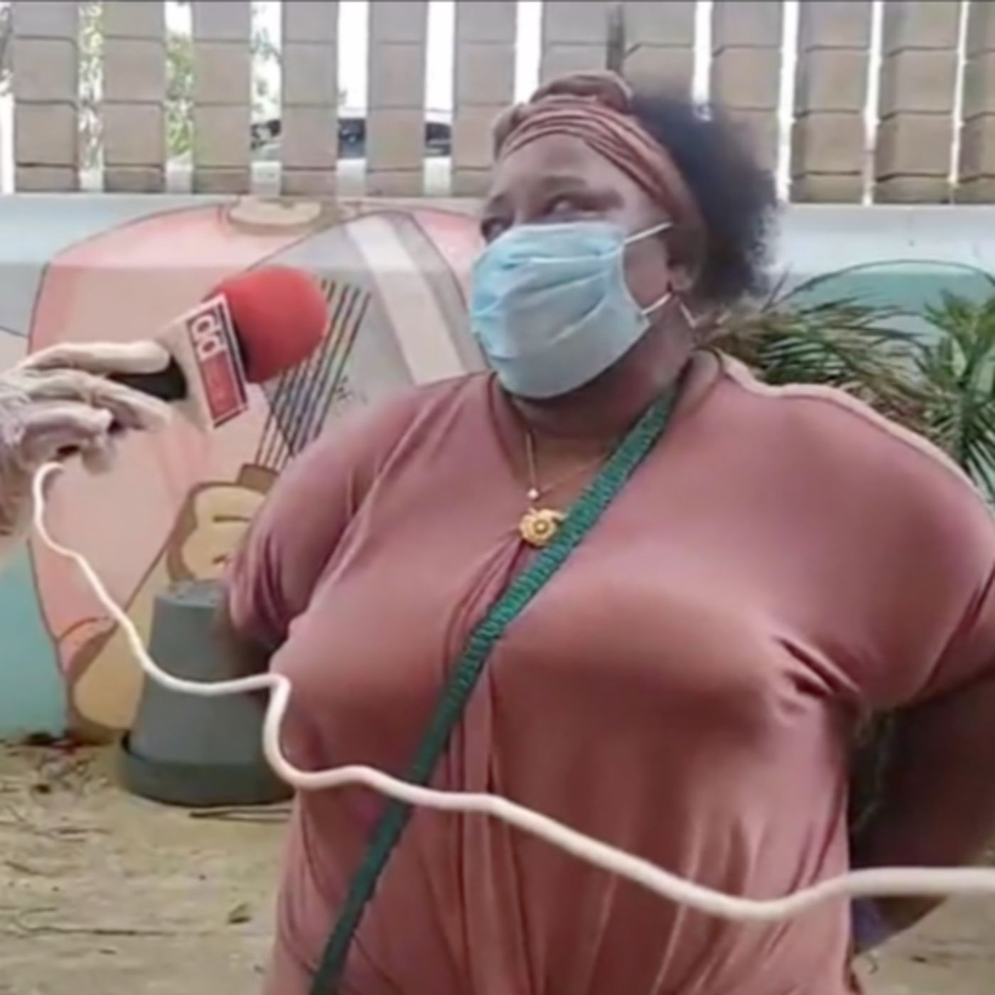Diáspora Dominicana