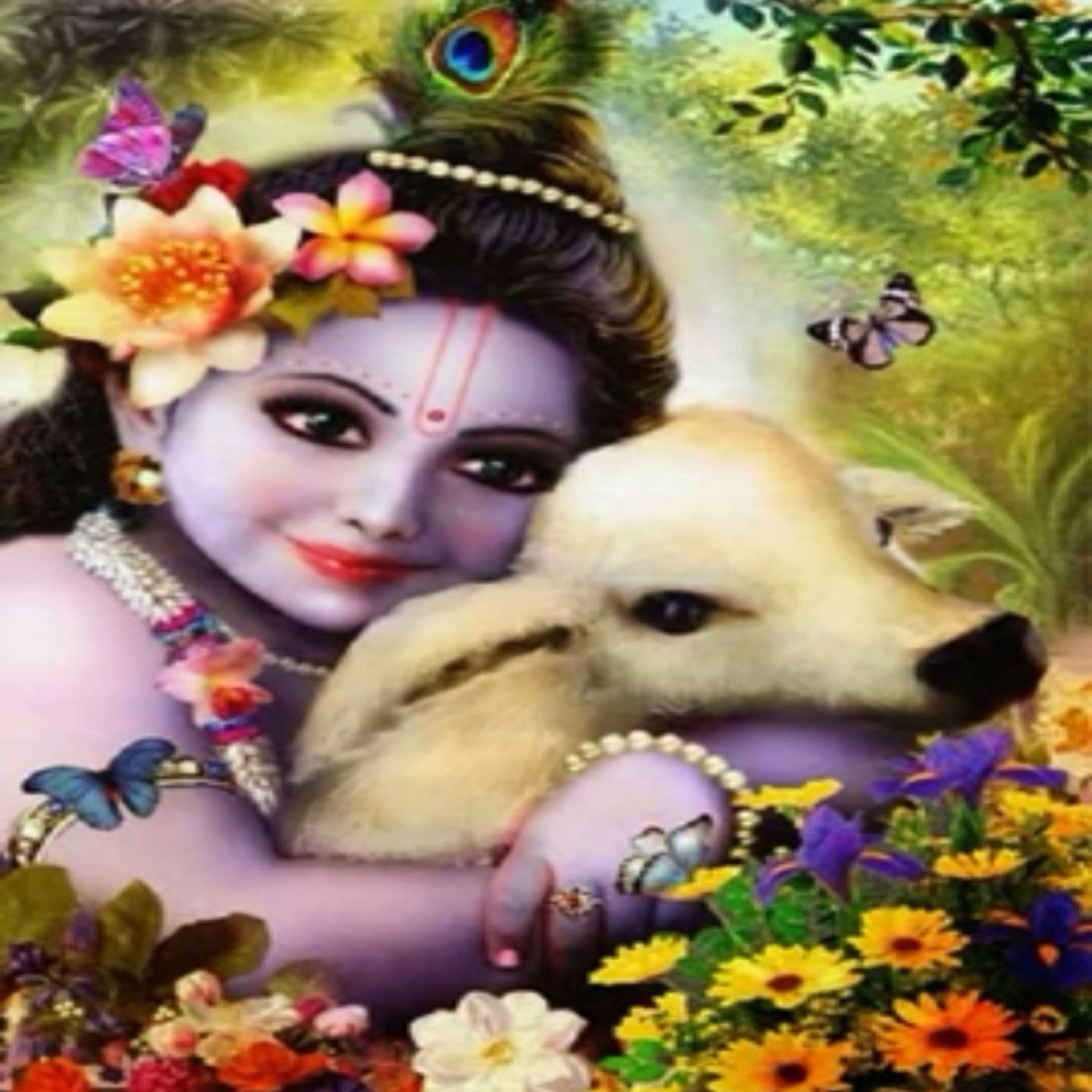 Simi qafas episode artwork