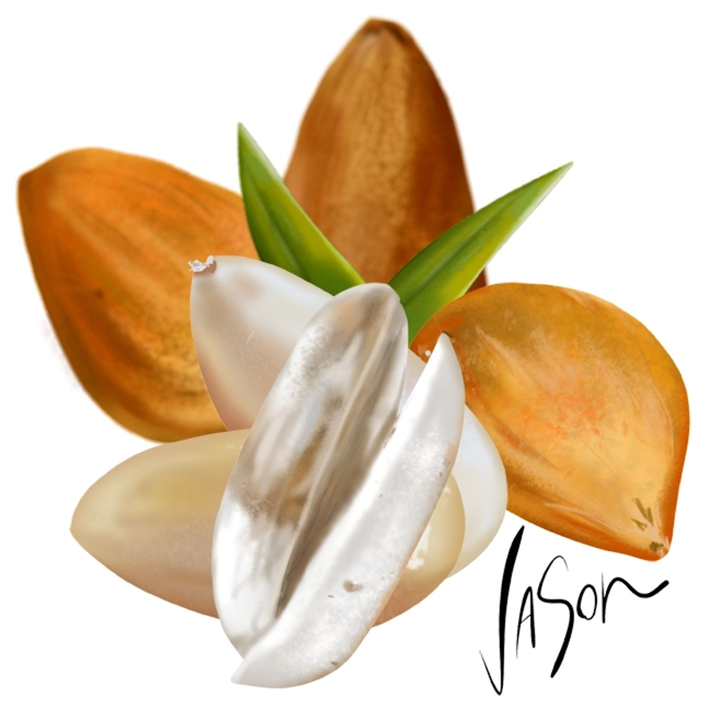 Episode 47: Dodging Bunya Nuts