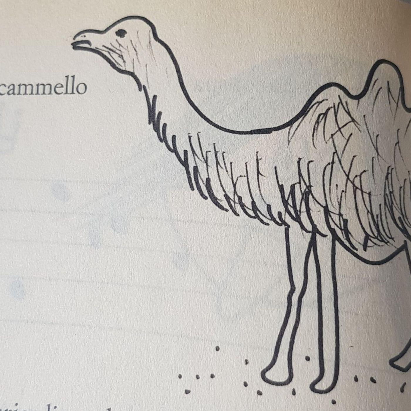 Gianni Rodari - I cinque libri