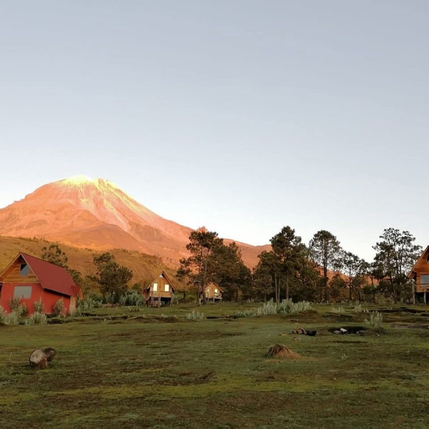 El Terapeuta Supremo cover art