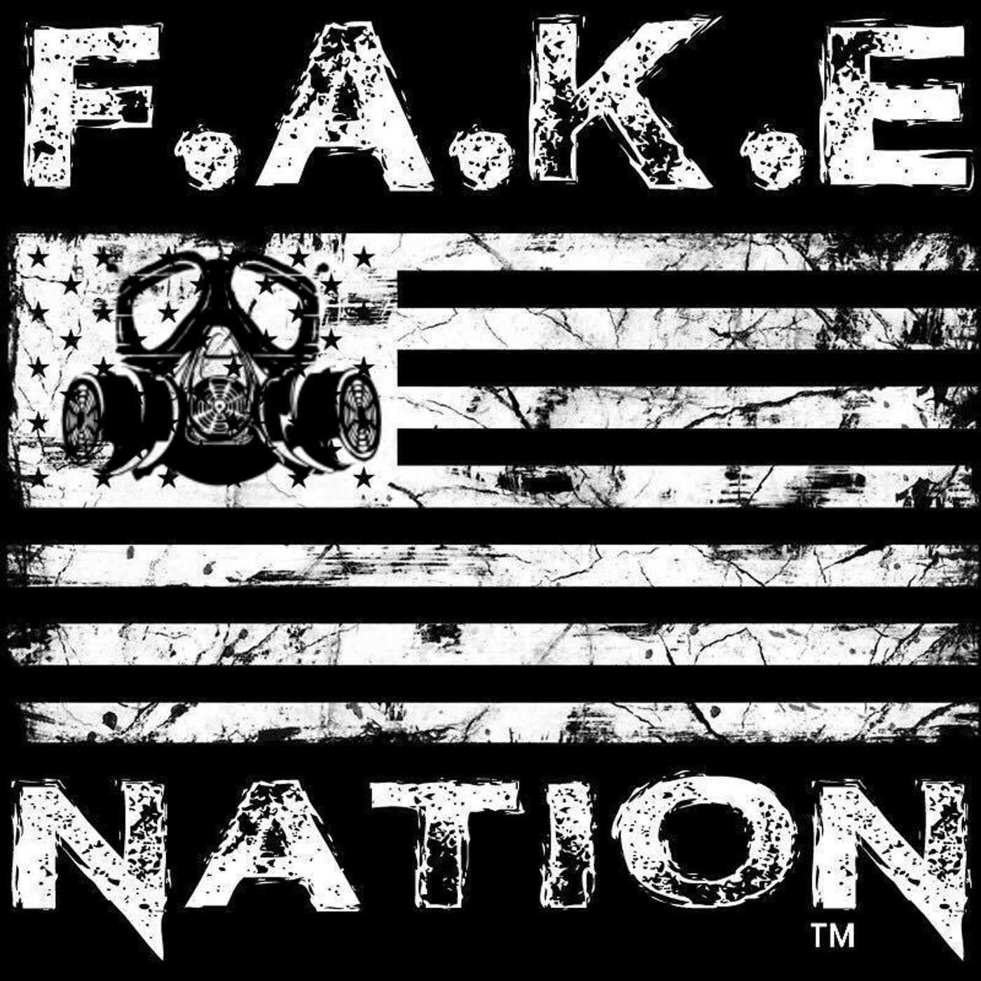 F.A.K.E  FM podcast artwork