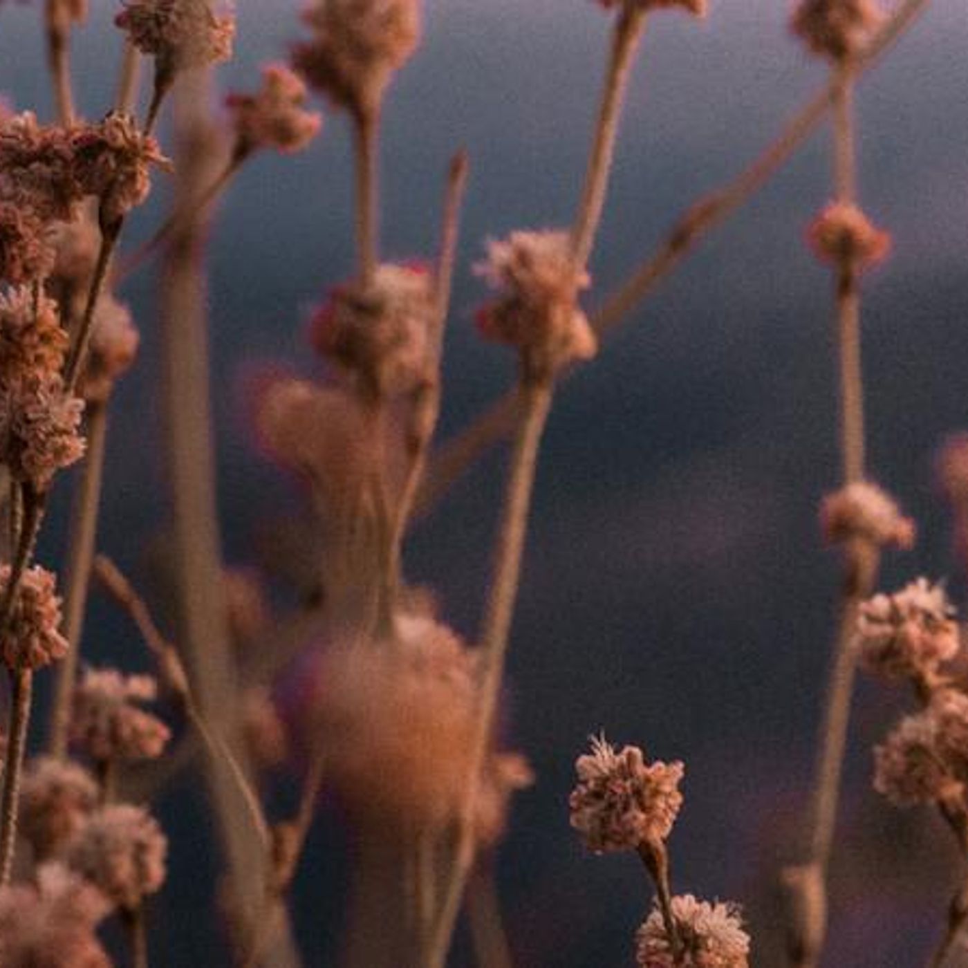 How Thanksgiving Shapes Your Life Story