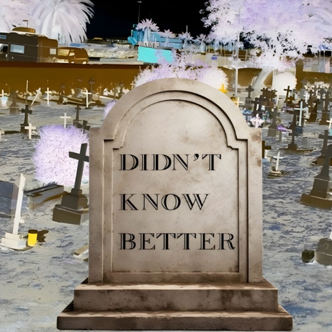 Ignorance Kills - Destroyed For Lack Of Knowledge