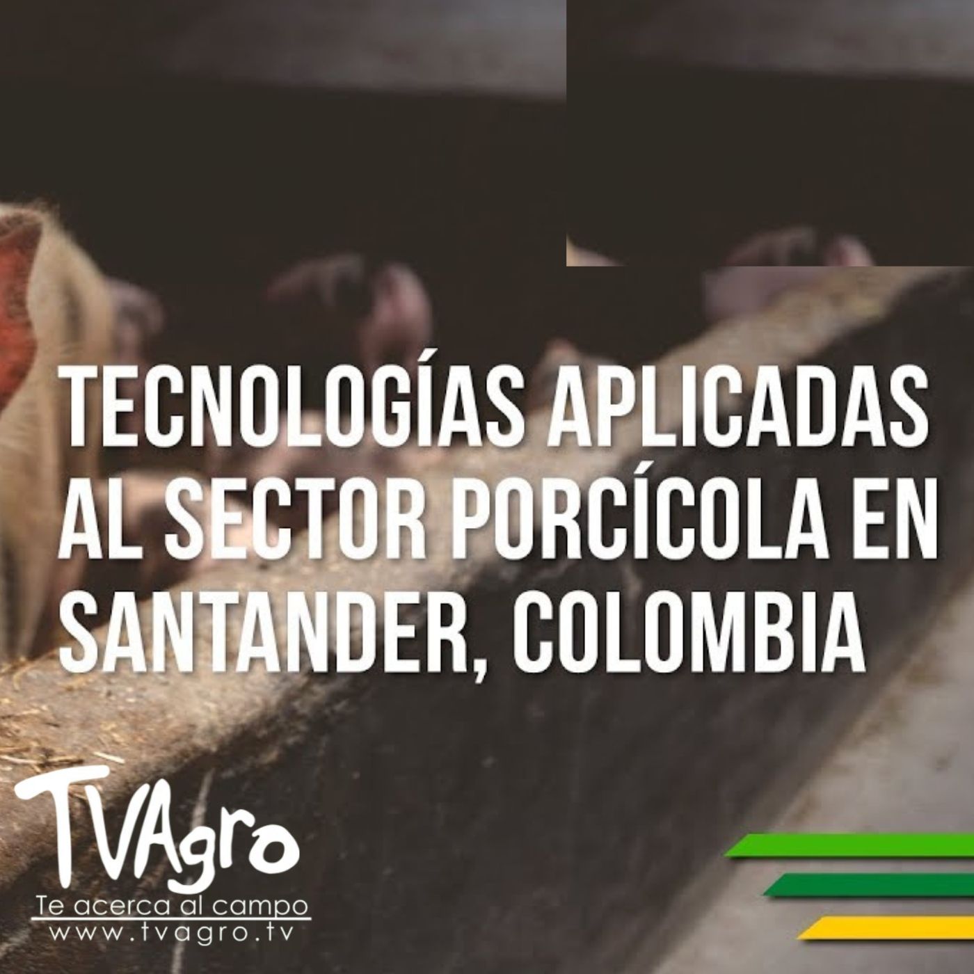 TV AGRO
