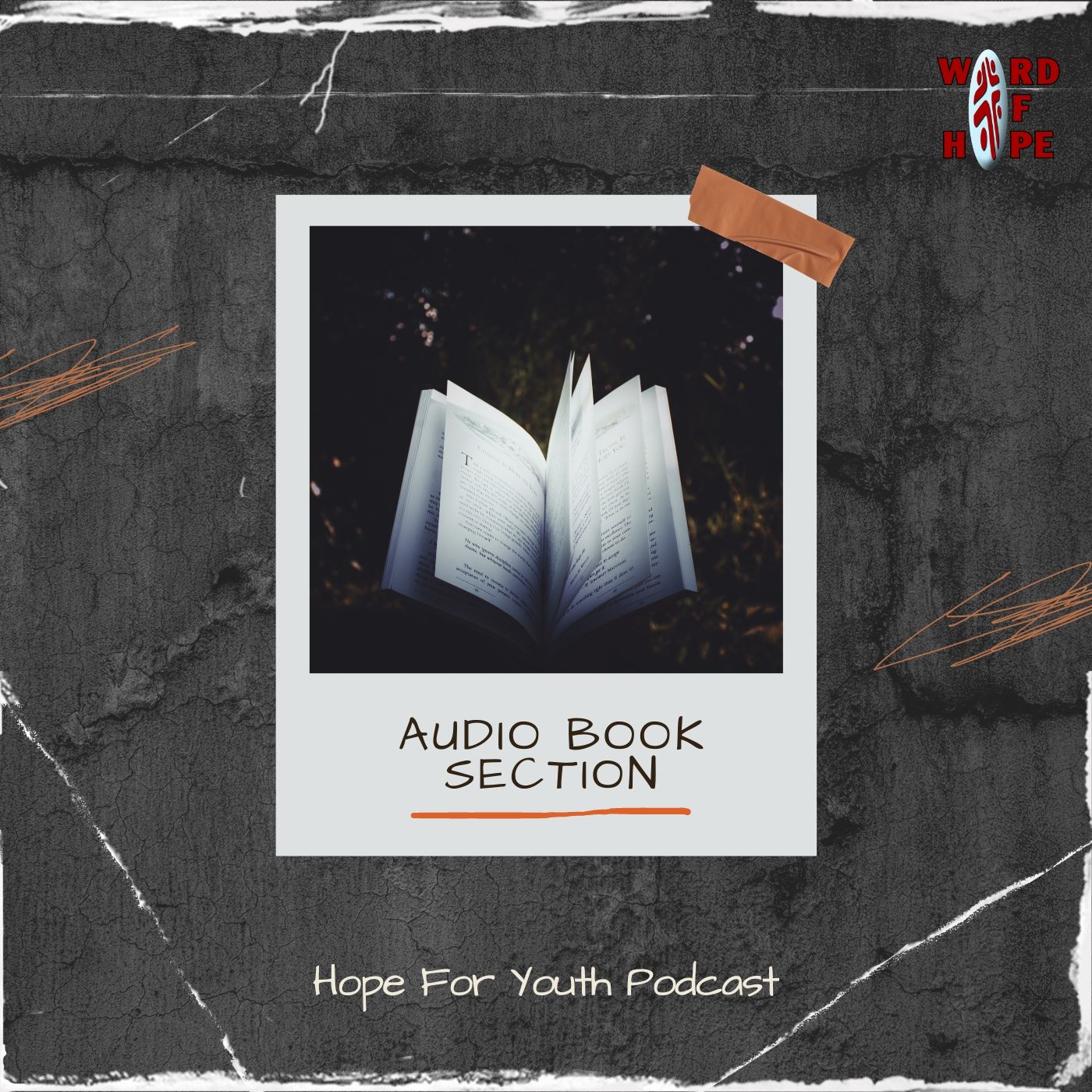 Audio Book Section