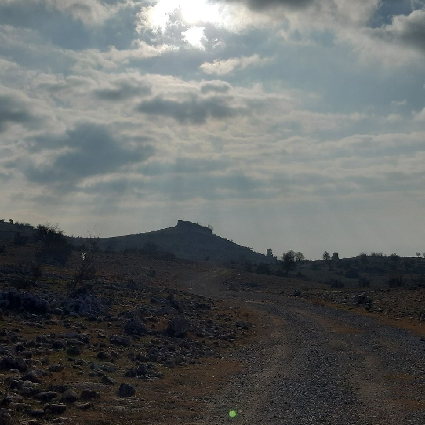 Şiir